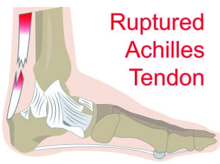 本頁圖片/檔案 - 2017-1_pic9