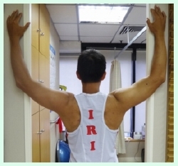 本頁圖片/檔案 - UL_1_PectM1