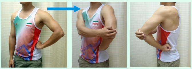 本頁圖片/檔案 - UL_8_shoulder_ER