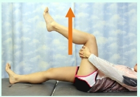 本頁圖片/檔案 - 2012-1_Hams1b