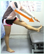 本頁圖片/檔案 - 2012-1_Hams3