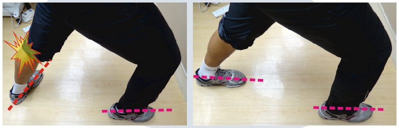 本頁圖片/檔案 - 2012-1_Wrong_calf