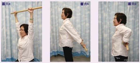 本頁圖片/檔案 - 2009-2_6abcd