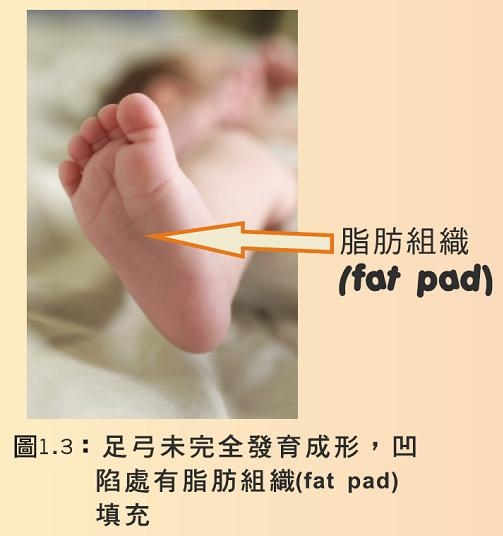 本頁圖片/檔案 - childfeel_feet