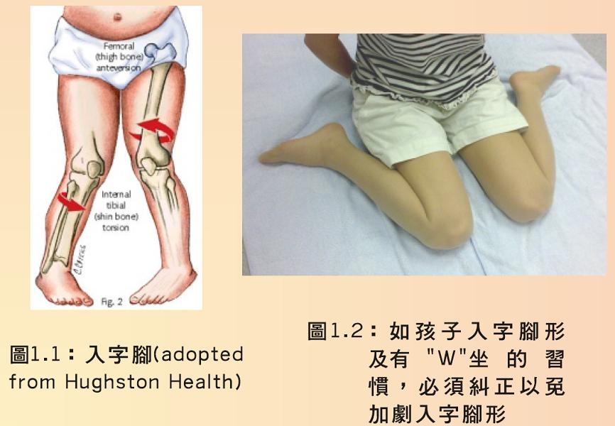 本頁圖片/檔案 - childfeel_Wsitting