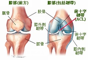 本頁圖片/檔案 - kn_ana