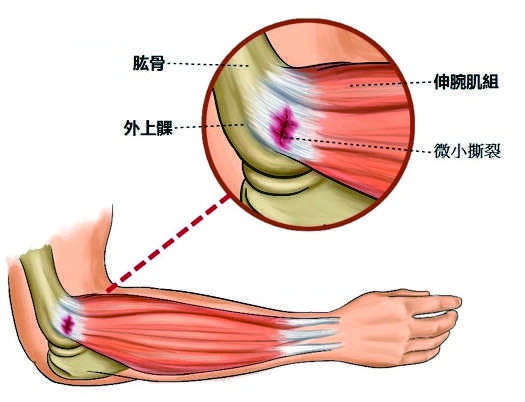 本頁圖片/檔案 - 2021-1_final_Web1