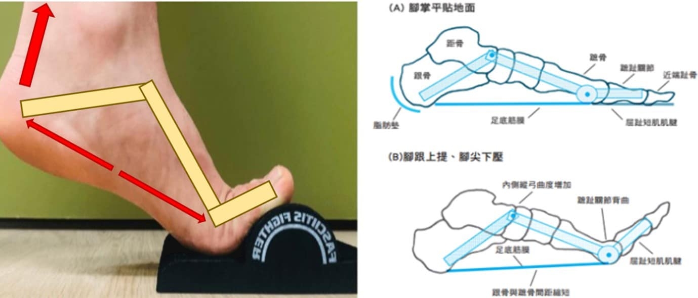 本頁圖片/檔案 - OF1