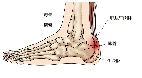 本頁圖片/檔案 - foot