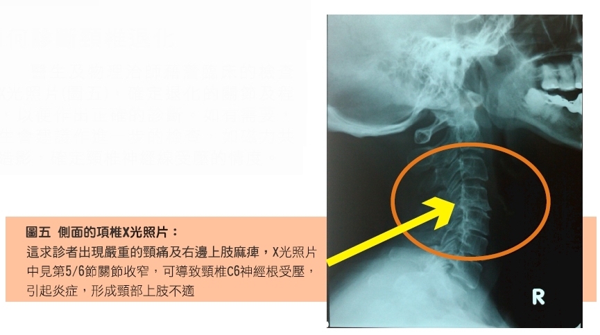 本頁圖片/檔案 - 2010_1_5
