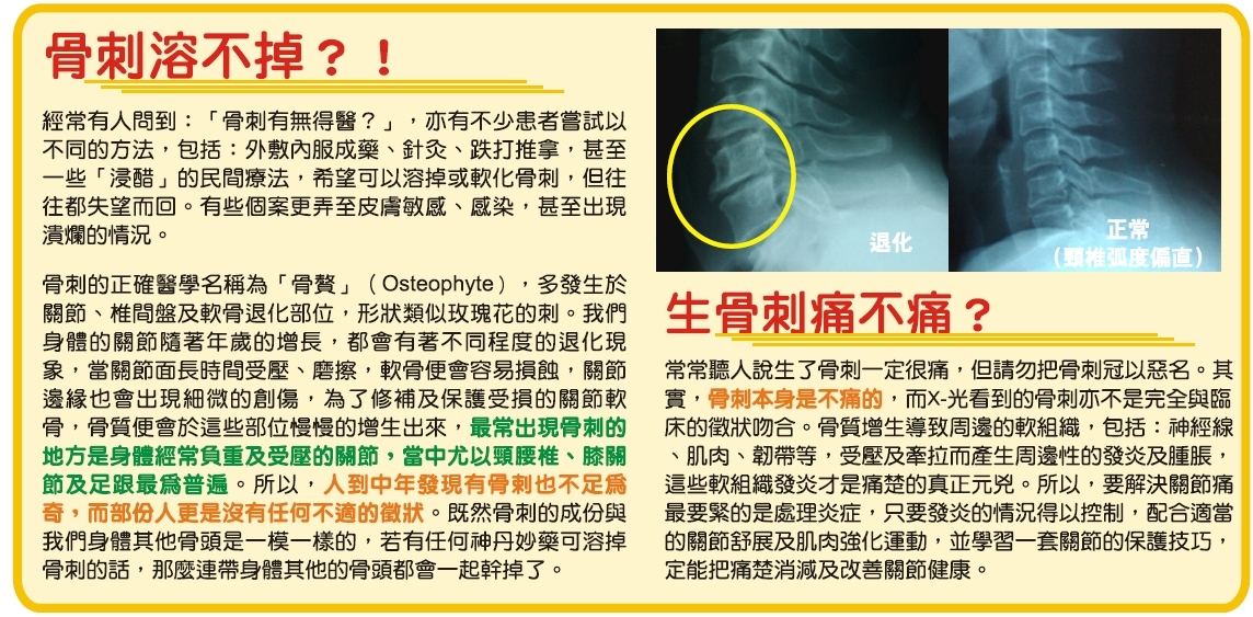 本頁圖片/檔案 - 2010_1_7