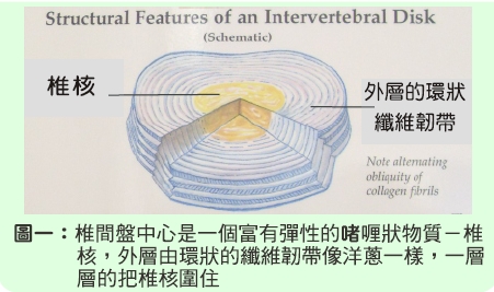 本頁圖片/檔案 - Topic_2