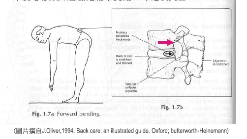 本頁圖片/檔案 - Topic_4
