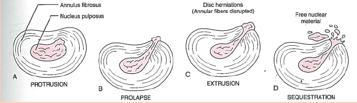 本頁圖片/檔案 - Topic_6