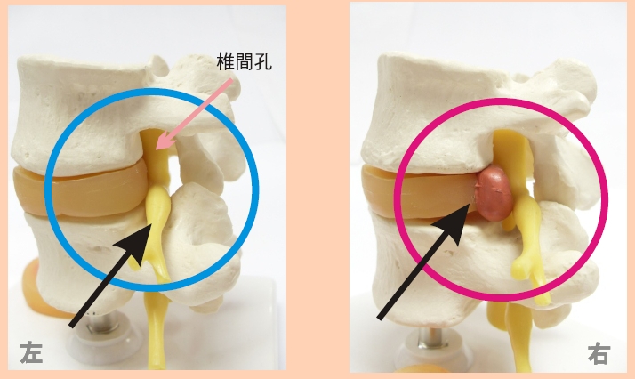 本頁圖片/檔案 - Topic_7