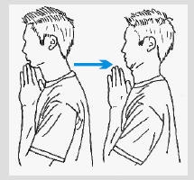 本頁圖片/檔案 - cervicoha3