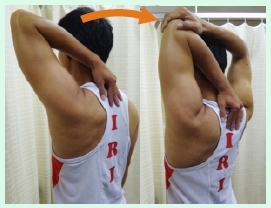 本頁圖片/檔案 - UL_3_triceps1