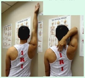 本頁圖片/檔案 - UL_3_triceps2