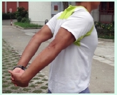 本頁圖片/檔案 - UL_5_deltoid2