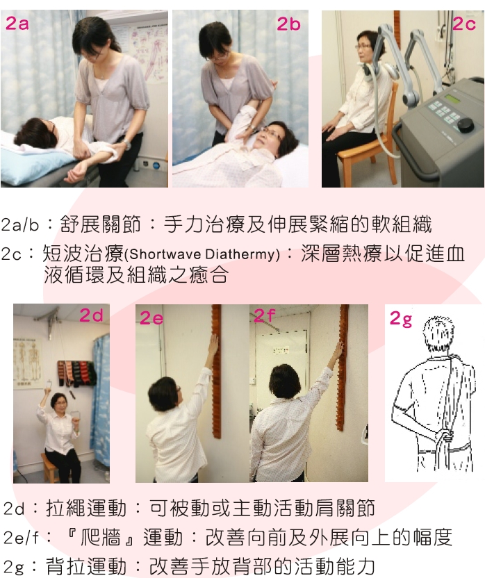 本頁圖片/檔案 - 2009-2_2abcdefg