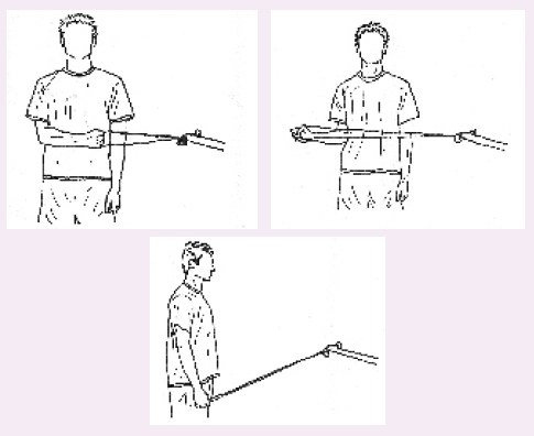 本頁圖片/檔案 - 2009-2_strengthen2