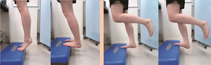 本頁圖片/檔案 - 2017-1_pic8d