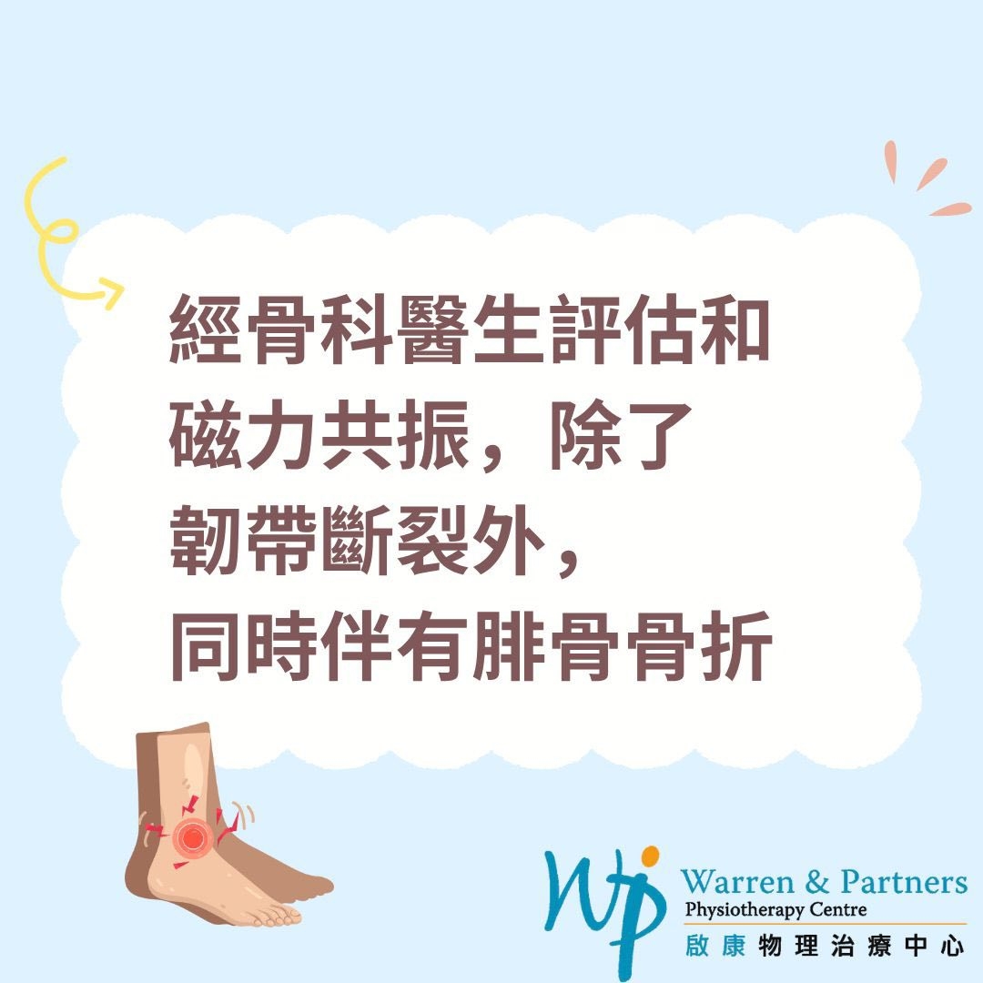 本頁圖片/檔案 - Ankle6