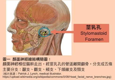 本頁圖片/檔案 - WPPC_fp_pic1